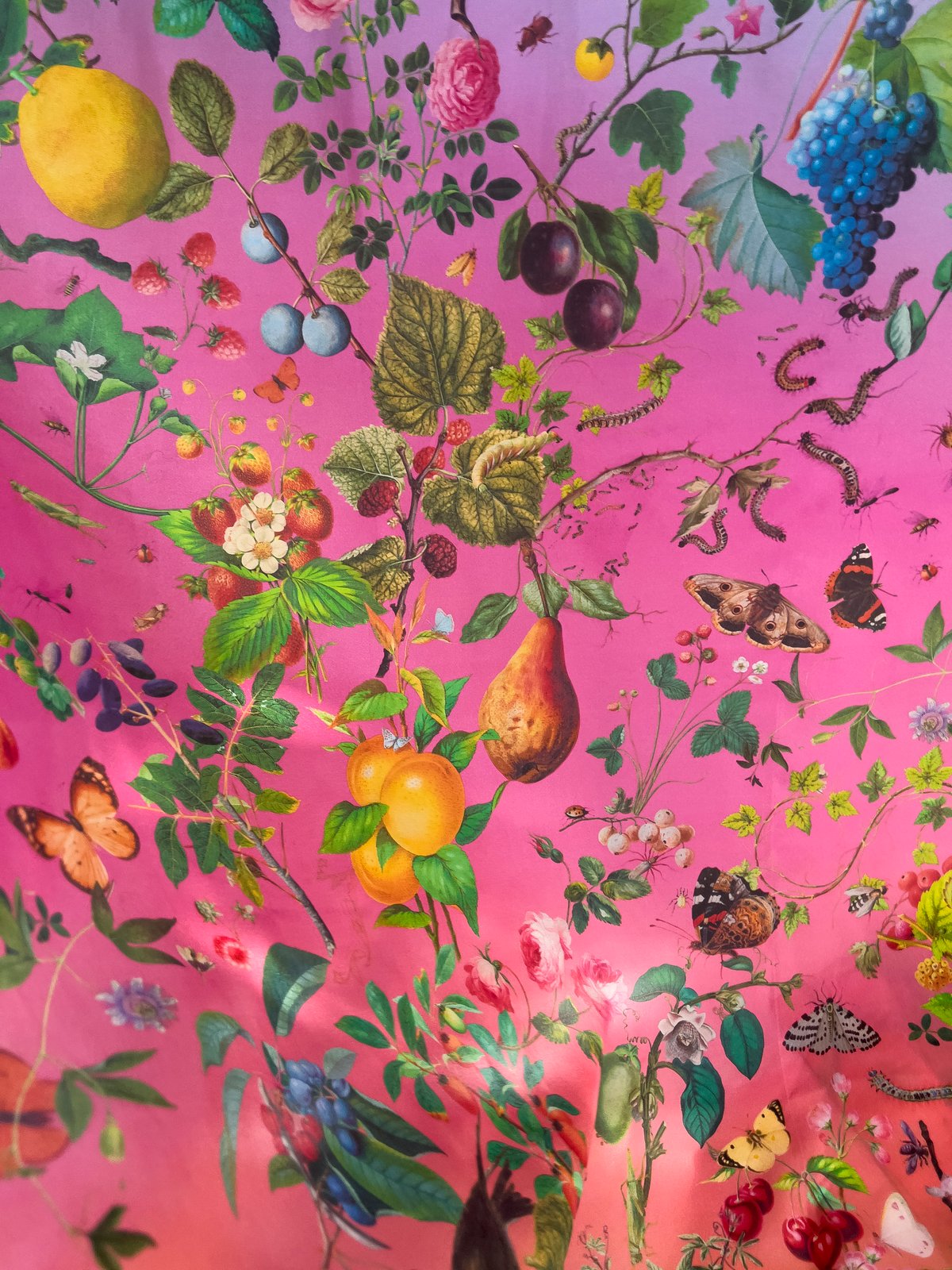 V&A silk scarf | Fallen Fruit